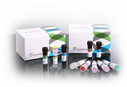 GeneFinder™ HPV LBMA Genotype Kit