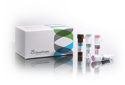 GeneFinder™ STDⅠ(CT/NG/UU) Multiplex Real-time PCR Kit