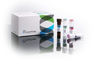 GeneFinder™ HPV-HR RealAmp Kit