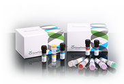 HPV Liquid Bead MicroArray